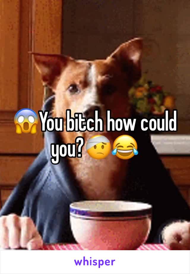 😱You bitch how could you?🤕😂