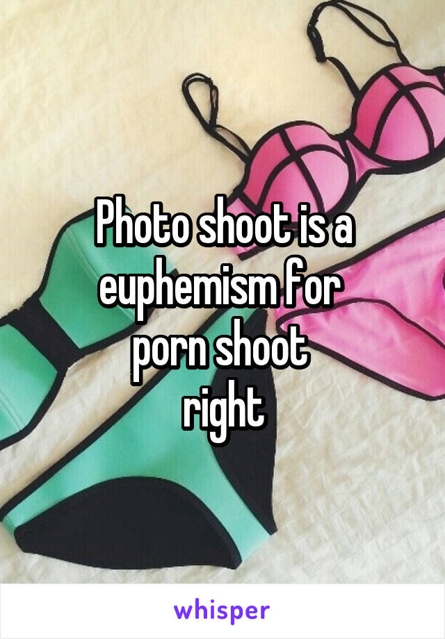 Photo shoot is a euphemism for 
porn shoot 
right