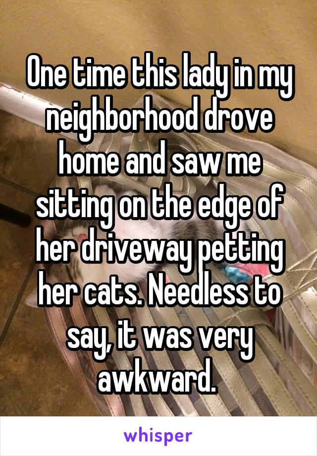 One time this lady in my neighborhood drove home and saw me sitting on the edge of her driveway petting her cats. Needless to say, it was very awkward. 