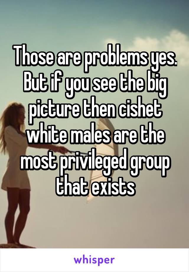 Those are problems yes. But if you see the big picture then cishet white males are the most privileged group that exists
