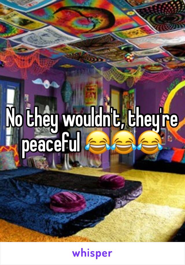 No they wouldn't, they're peaceful 😂😂😂