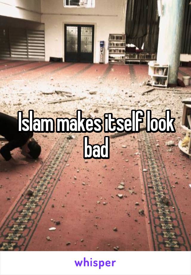 Islam makes itself look bad
