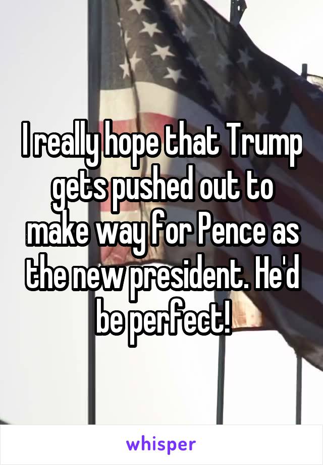 I really hope that Trump gets pushed out to make way for Pence as the new president. He'd be perfect!