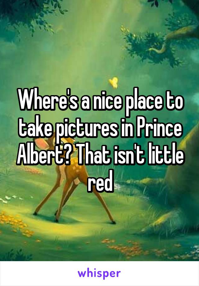 Where's a nice place to take pictures in Prince Albert? That isn't little red