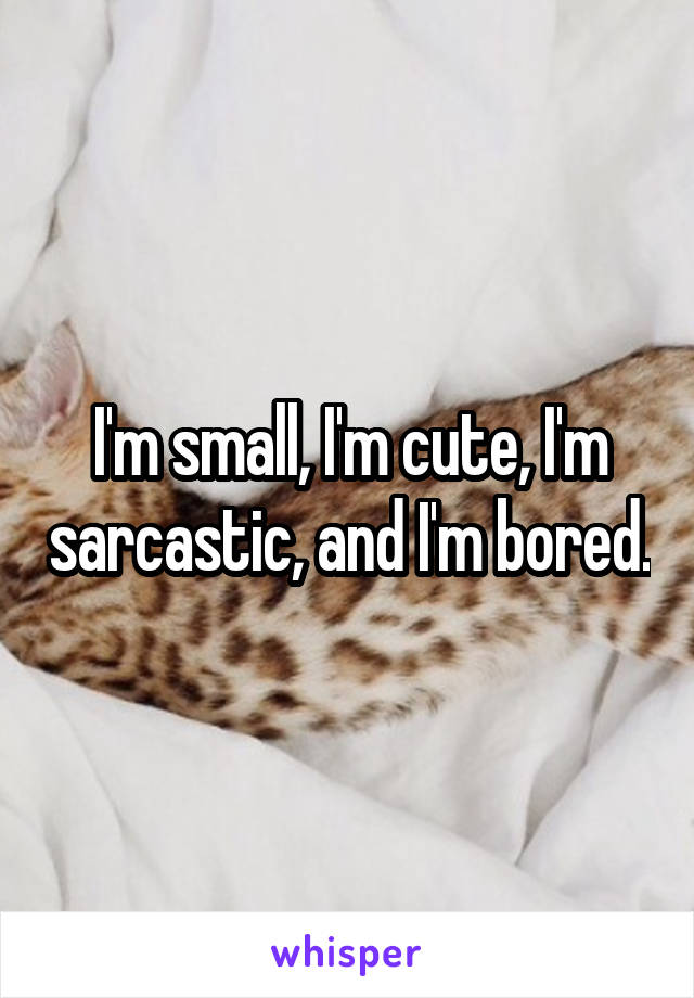 I'm small, I'm cute, I'm sarcastic, and I'm bored.