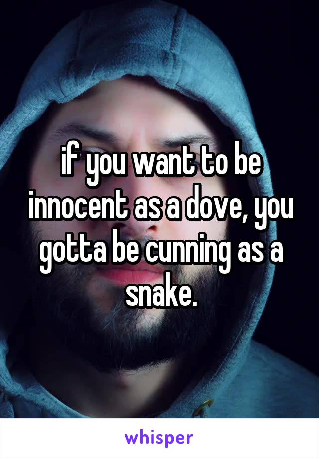 if you want to be innocent as a dove, you gotta be cunning as a snake.