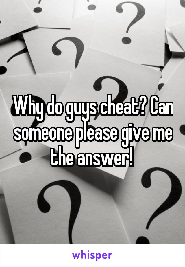 Why do guys cheat? Can someone please give me the answer! 