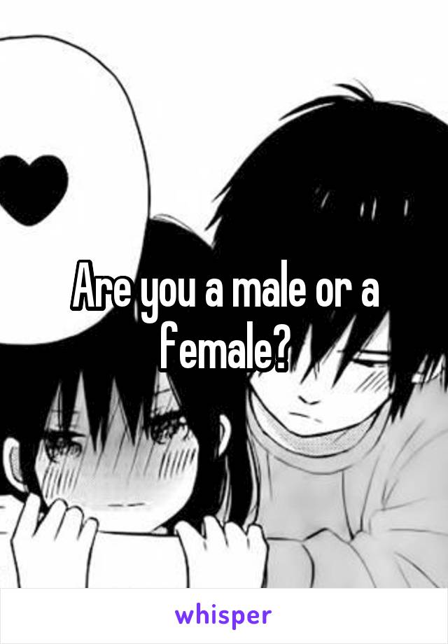 Are you a male or a female?