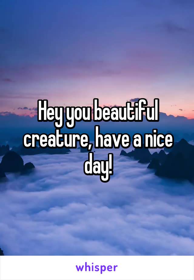 Hey you beautiful creature, have a nice day!