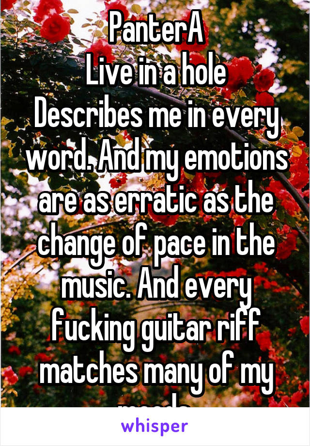 PanterA
Live in a hole
Describes me in every word. And my emotions are as erratic as the change of pace in the music. And every fucking guitar riff matches many of my moods.