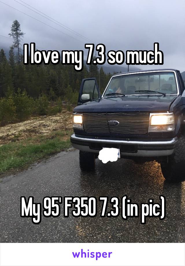 I love my 7.3 so much





My 95' F350 7.3 (in pic)