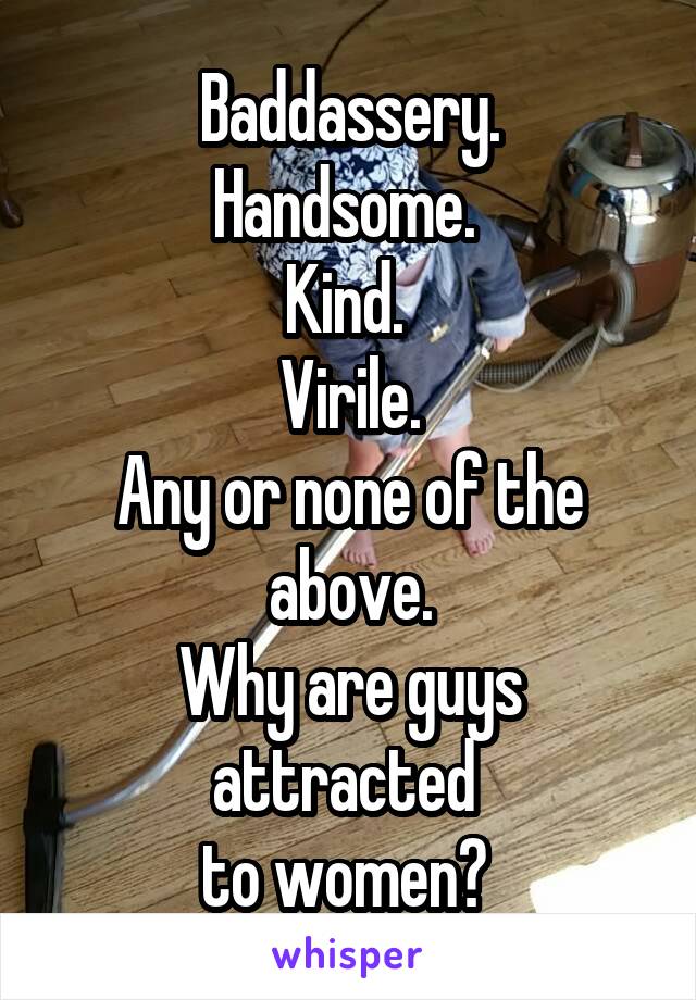 Baddassery.
Handsome. 
Kind. 
Virile.
Any or none of the above.
Why are guys attracted 
to women? 