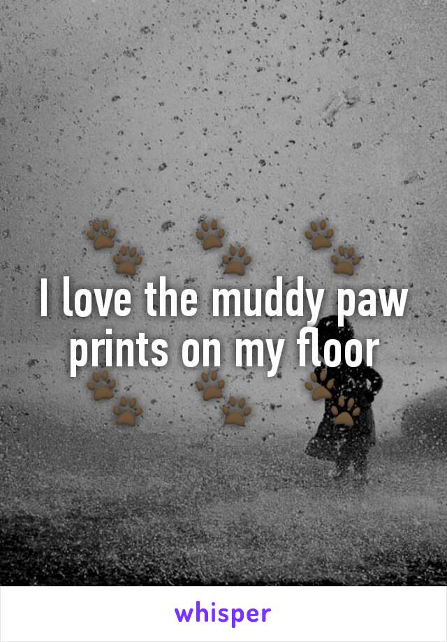 🐾    🐾    🐾
I love the muddy paw prints on my floor
🐾    🐾    🐾