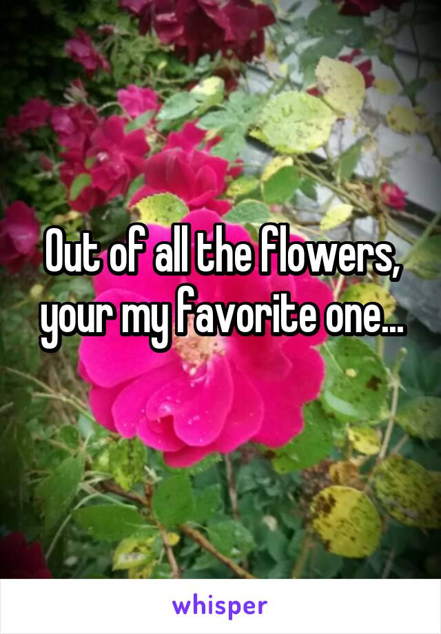Out of all the flowers, your my favorite one...
