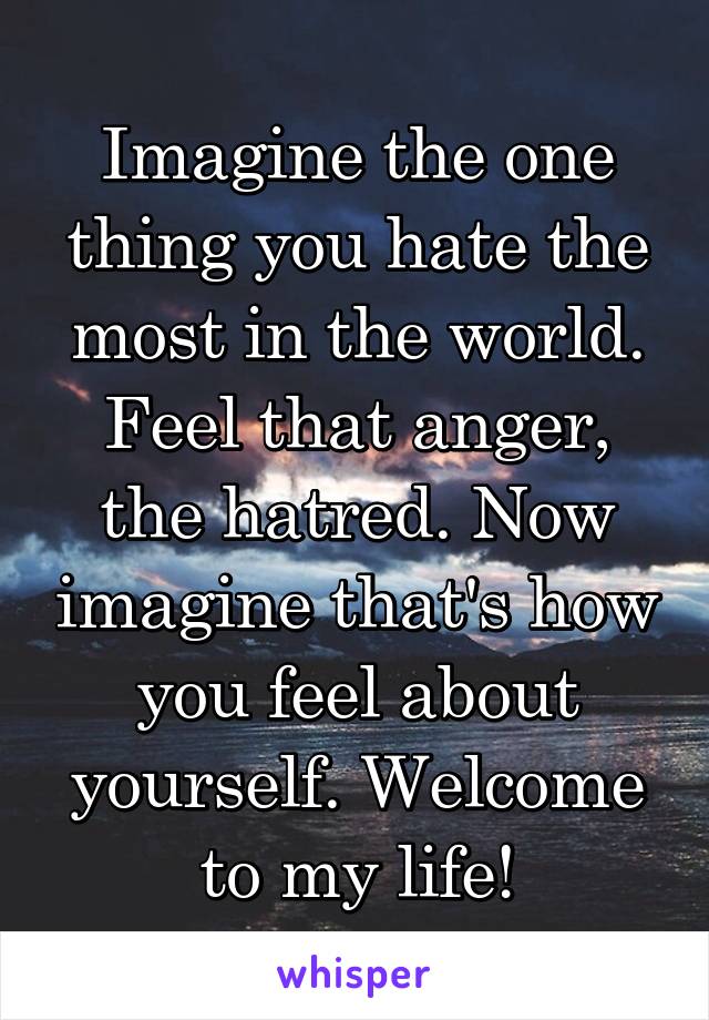 Imagine the one thing you hate the most in the world. Feel that anger, the hatred. Now imagine that's how you feel about yourself. Welcome to my life!