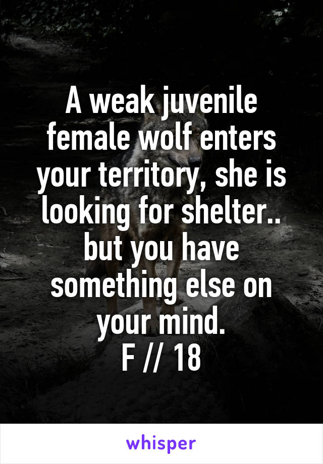 A weak juvenile female wolf enters your territory, she is looking for shelter.. but you have something else on your mind.
F // 18