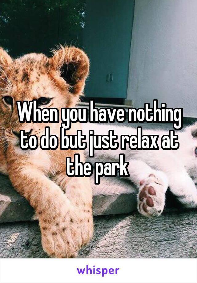 When you have nothing to do but just relax at the park 
