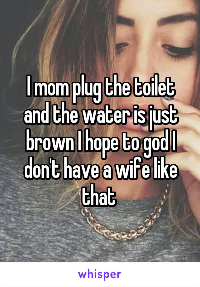 I mom plug the toilet and the water is just brown I hope to god I don't have a wife like that 