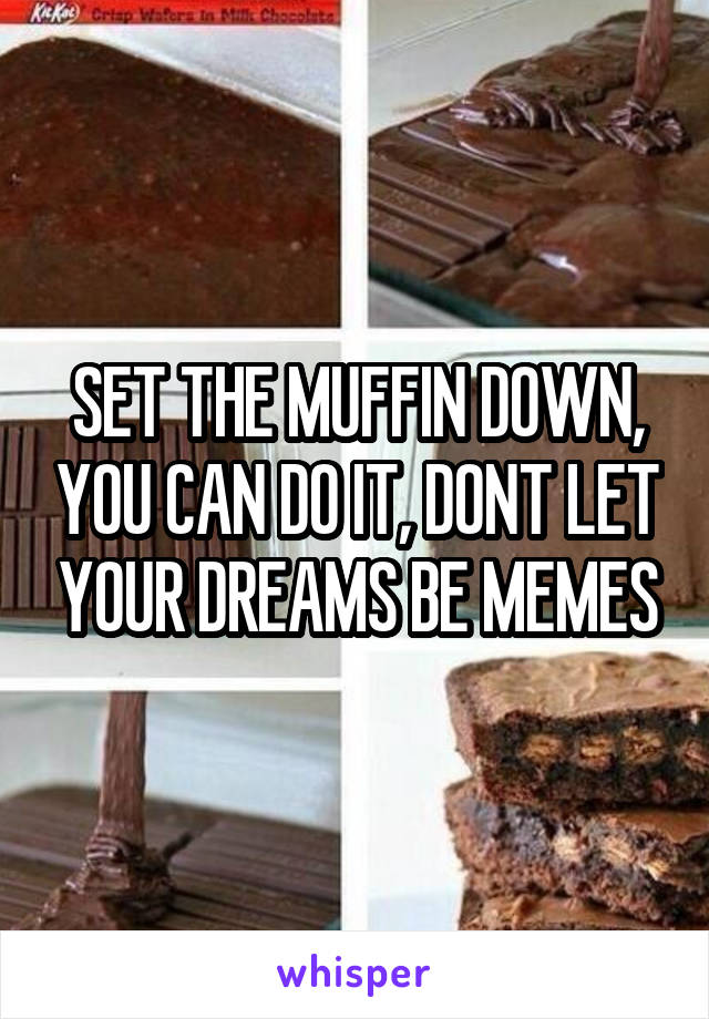 SET THE MUFFIN DOWN, YOU CAN DO IT, DONT LET YOUR DREAMS BE MEMES