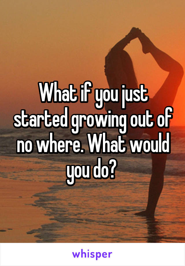What if you just started growing out of no where. What would you do? 