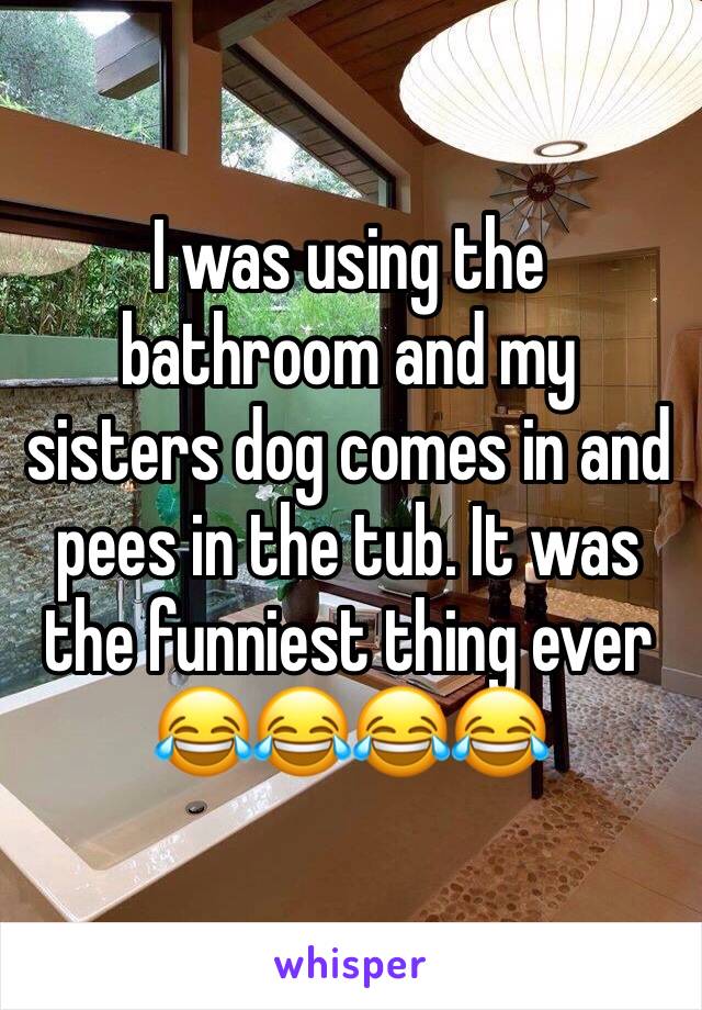 I was using the bathroom and my sisters dog comes in and pees in the tub. It was the funniest thing ever 😂😂😂😂