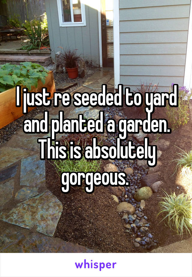 I just re seeded to yard and planted a garden. This is absolutely gorgeous. 