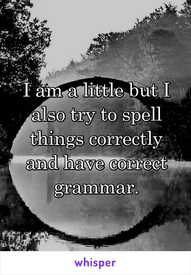 I am a little but I also try to spell things correctly and have correct grammar.