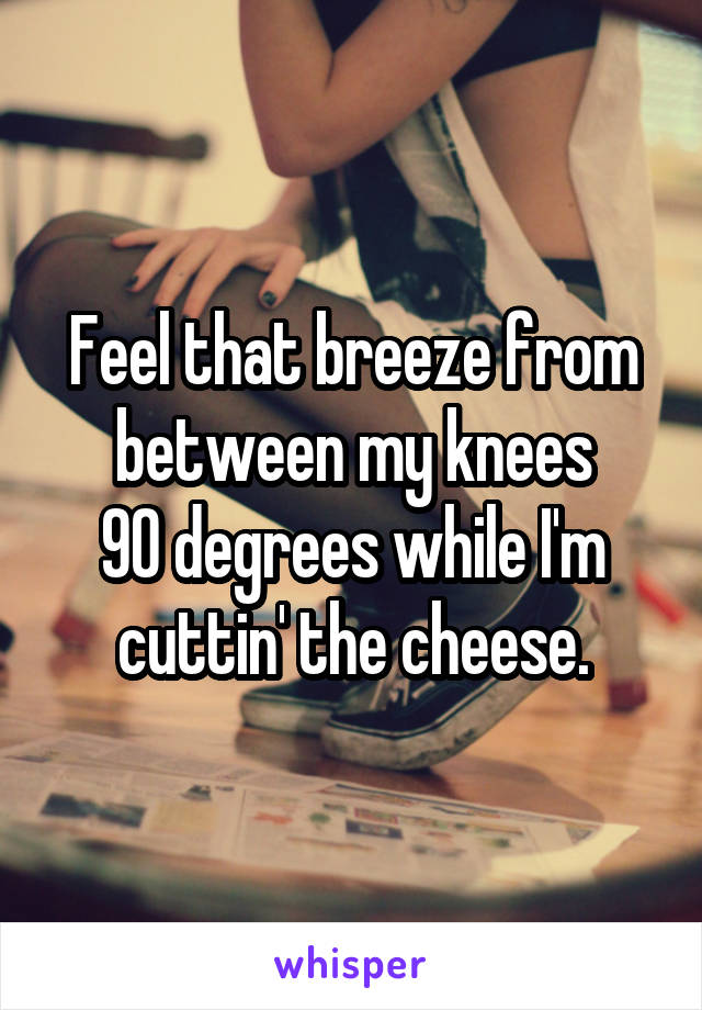 Feel that breeze from between my knees
90 degrees while I'm cuttin' the cheese.