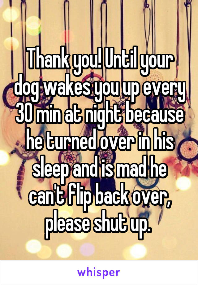Thank you! Until your dog wakes you up every 30 min at night because he turned over in his sleep and is mad he can't flip back over, please shut up. 
