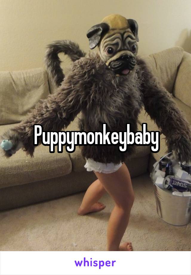 Puppymonkeybaby