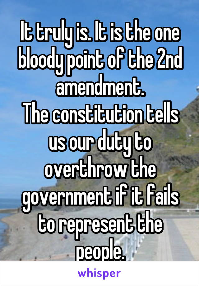 It truly is. It is the one bloody point of the 2nd amendment.
The constitution tells us our duty to overthrow the government if it fails to represent the people.