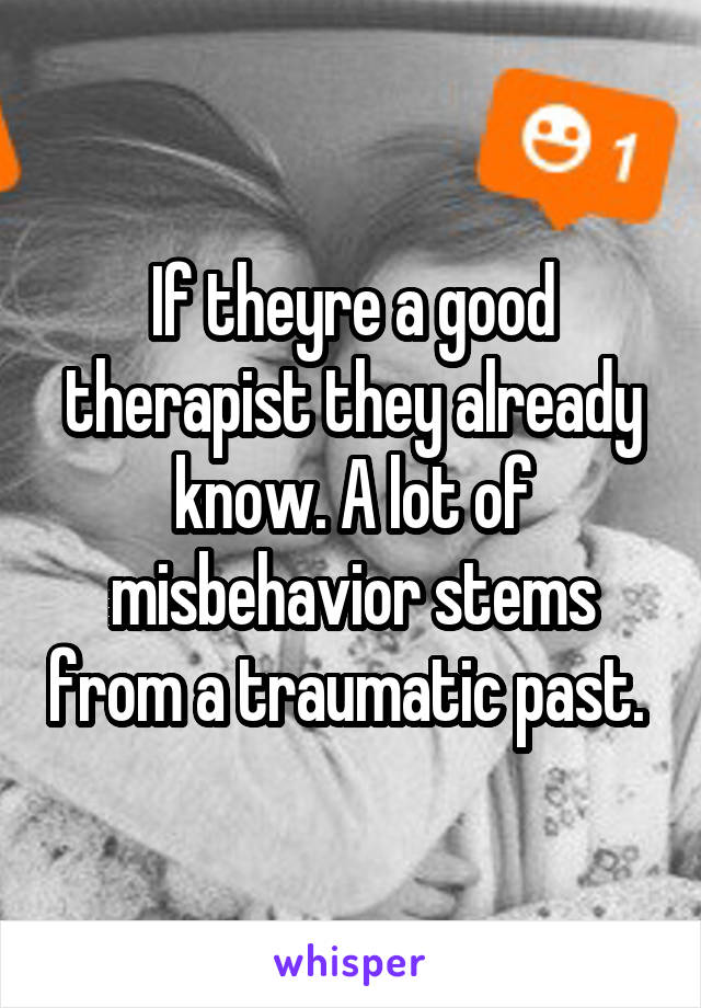 If theyre a good therapist they already know. A lot of misbehavior stems from a traumatic past. 