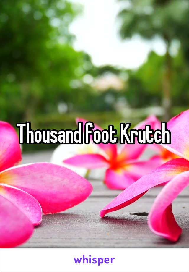 Thousand foot Krutch 