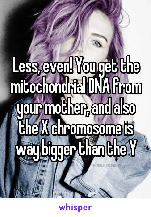 Less, even! You get the mitochondrial DNA from your mother, and also the X chromosome is way bigger than the Y