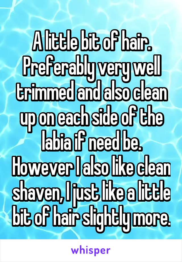 A little bit of hair. Preferably very well trimmed and also clean up on each side of the labia if need be. However I also like clean shaven, I just like a little bit of hair slightly more.