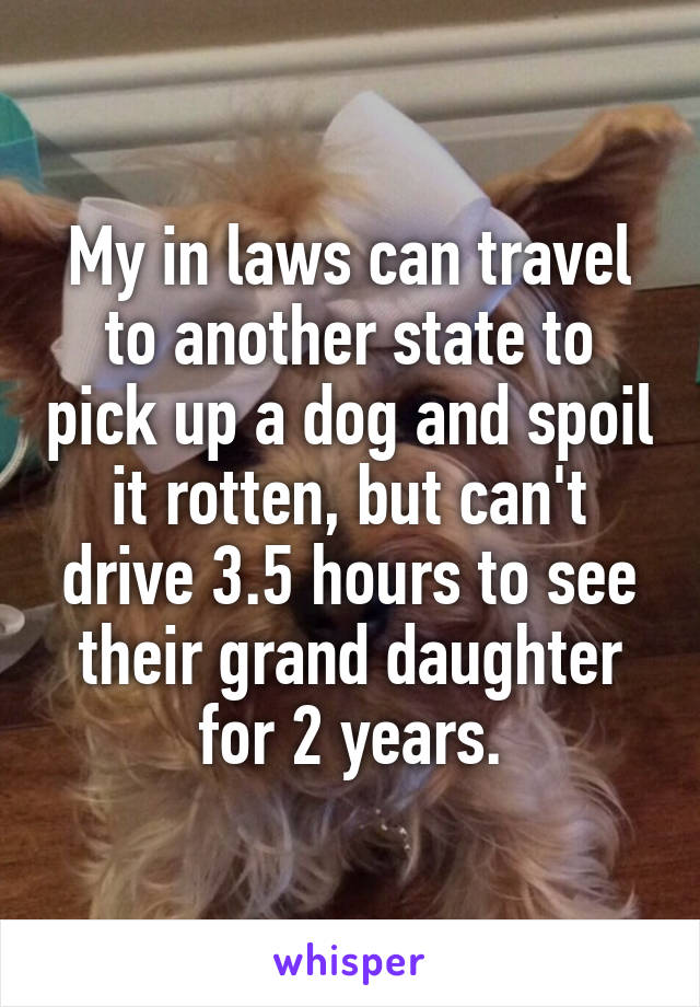 My in laws can travel to another state to pick up a dog and spoil it rotten, but can't drive 3.5 hours to see their grand daughter for 2 years.