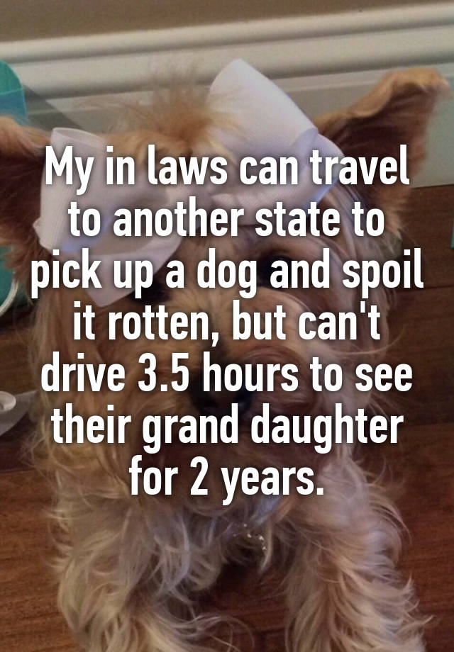 My in laws can travel to another state to pick up a dog and spoil it rotten, but can't drive 3.5 hours to see their grand daughter for 2 years.