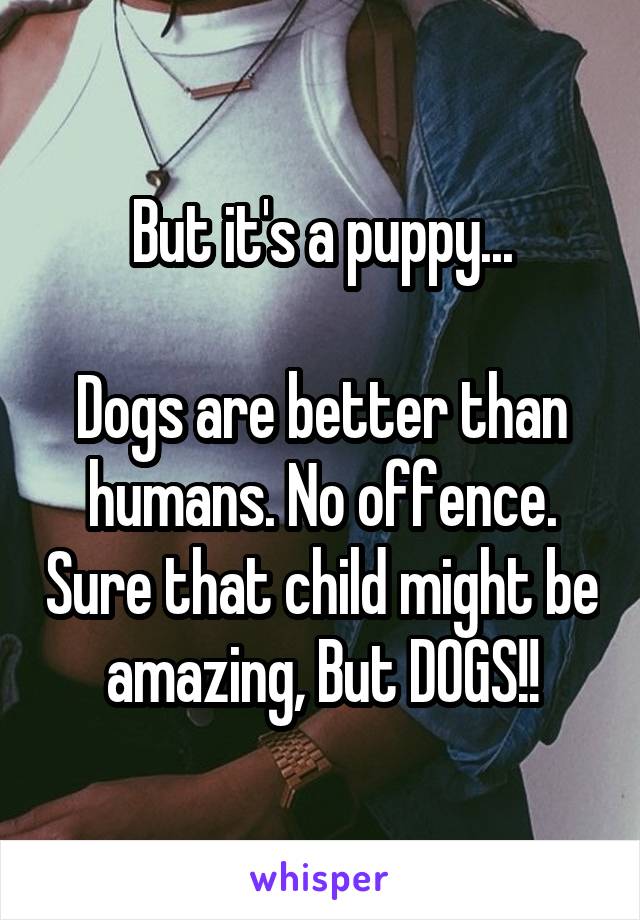 But it's a puppy...

Dogs are better than humans. No offence. Sure that child might be amazing, But DOGS!!