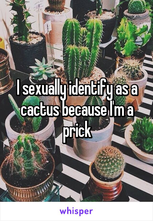 I sexually identify as a cactus because I'm a prick