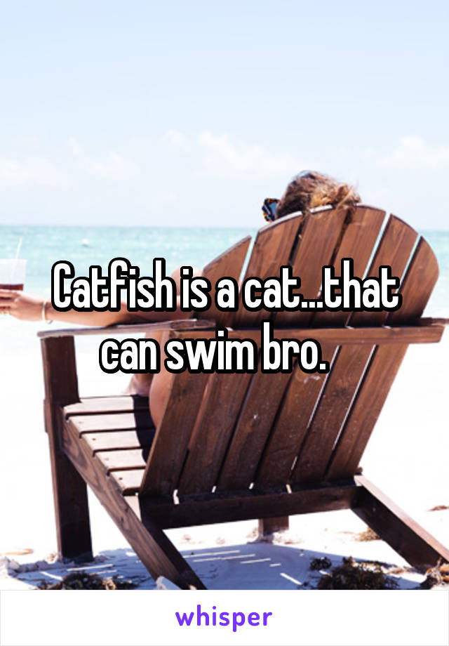 Catfish is a cat...that can swim bro.   