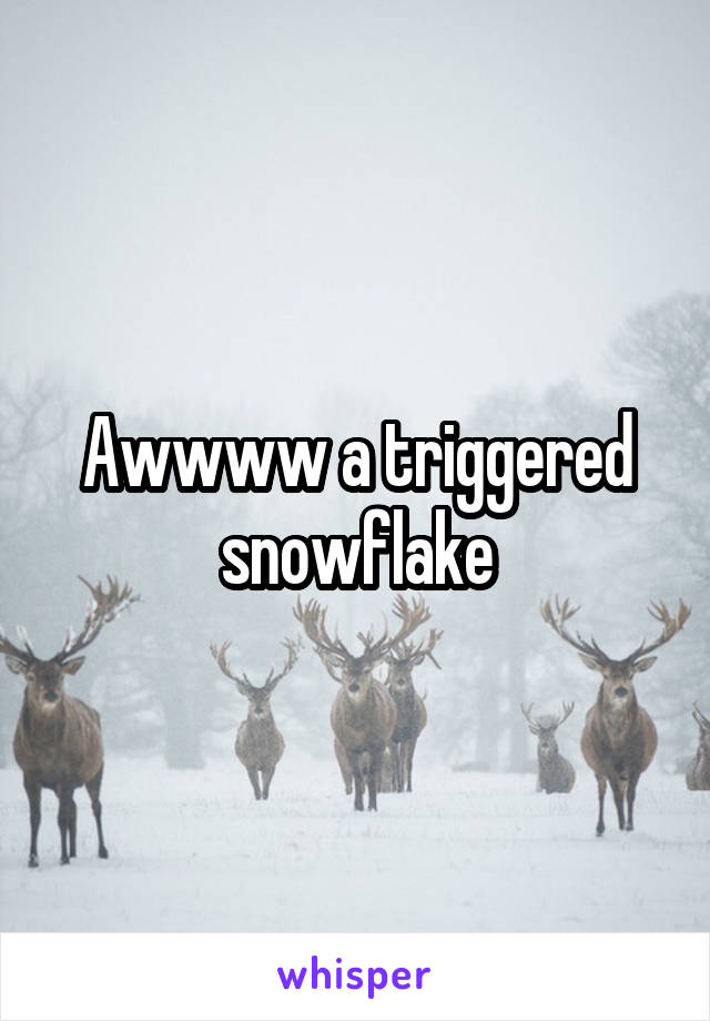 Awwww a triggered snowflake