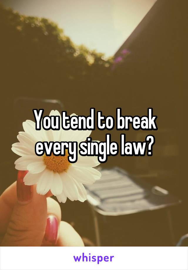 You tend to break every single law?