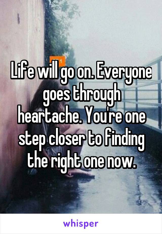 Life will go on. Everyone goes through heartache. You're one step closer to finding the right one now.
