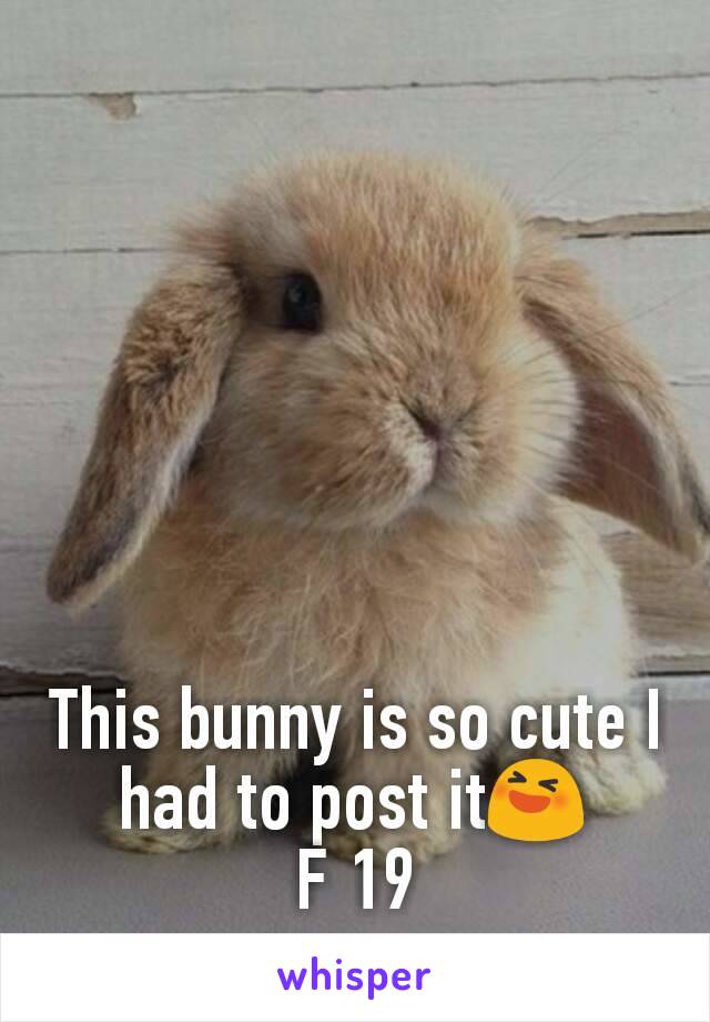 This bunny is so cute I had to post it😆
F 19