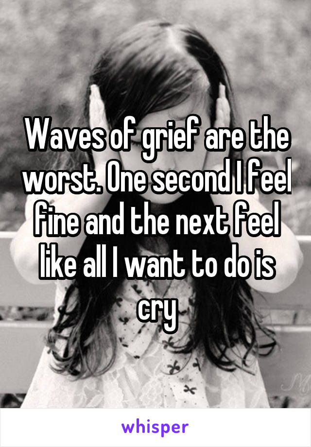 Waves of grief are the worst. One second I feel fine and the next feel like all I want to do is cry