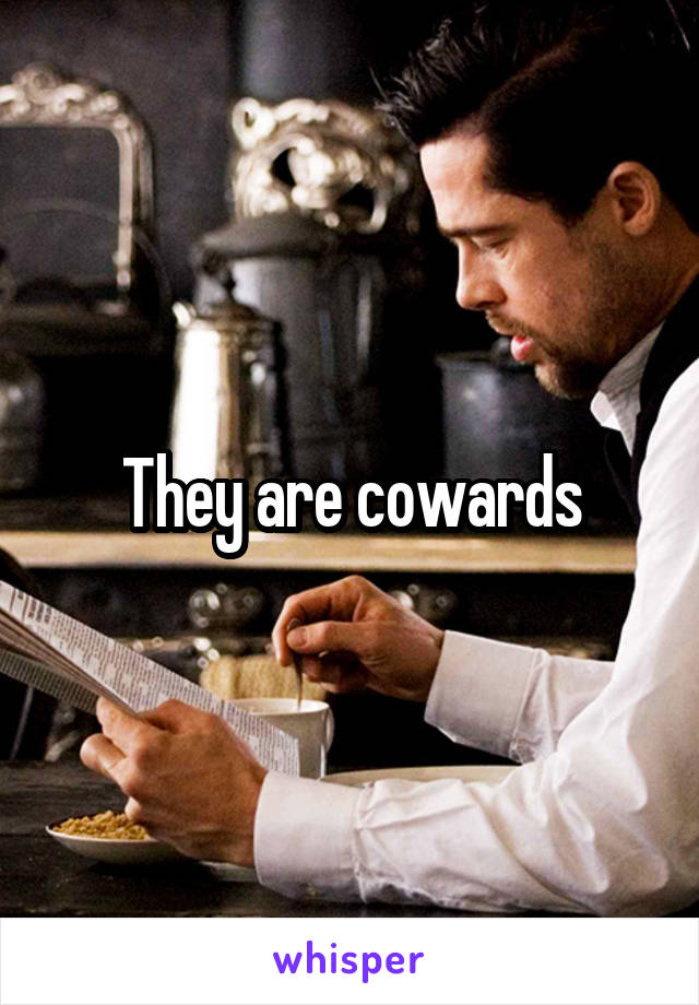 They are cowards