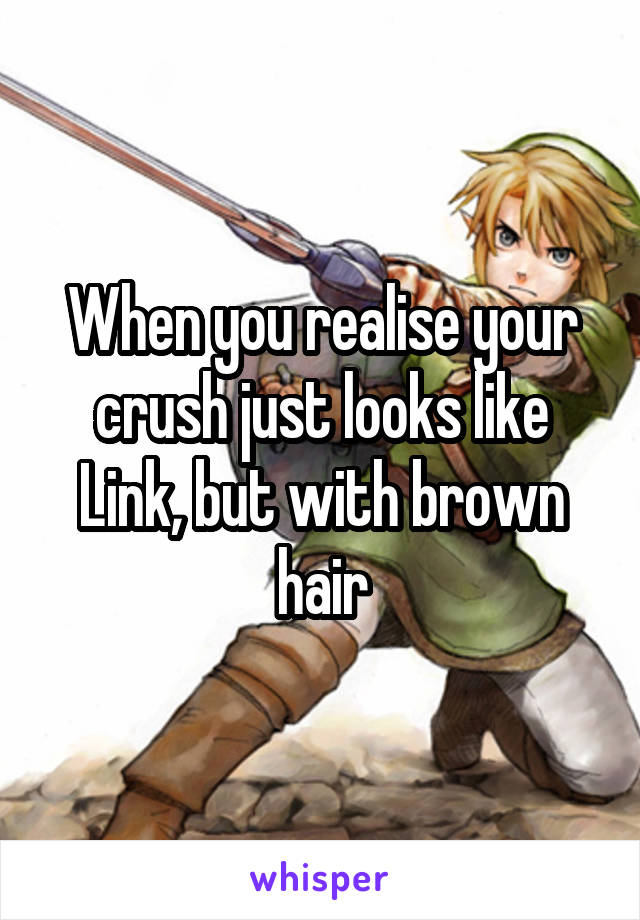 When you realise your crush just looks like Link, but with brown hair