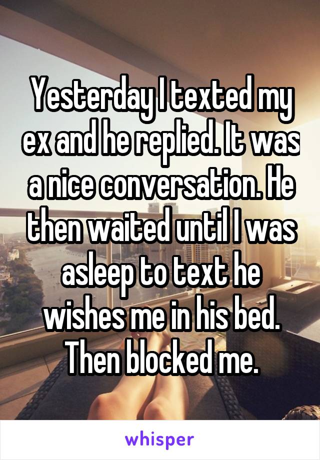 Yesterday I texted my ex and he replied. It was a nice conversation. He then waited until I was asleep to text he wishes me in his bed. Then blocked me.