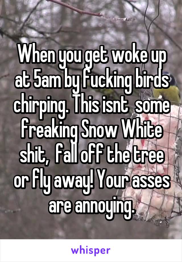 When you get woke up at 5am by fucking birds chirping. This isnt  some freaking Snow White shit,  fall off the tree or fly away! Your asses are annoying.