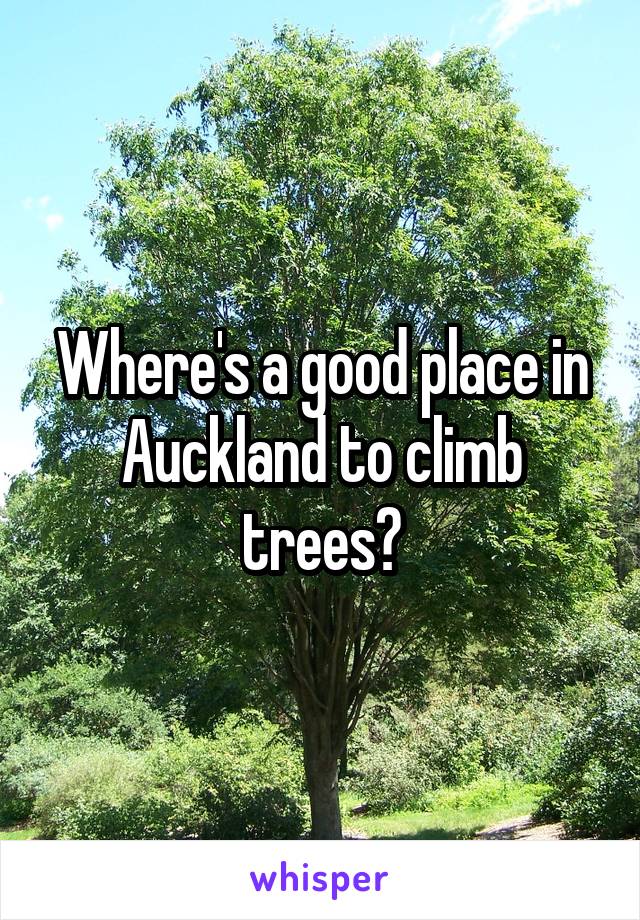 Where's a good place in Auckland to climb trees?